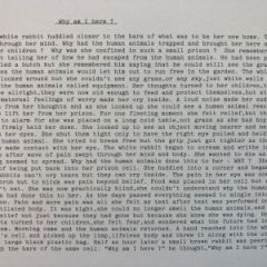 bild-4