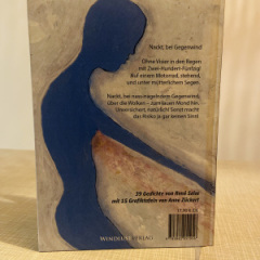 René Seim - Eine Peitsche aus Sand