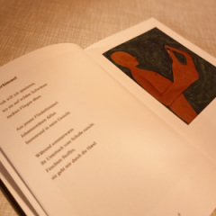 René Seim - Eine Peitsche aus Sand