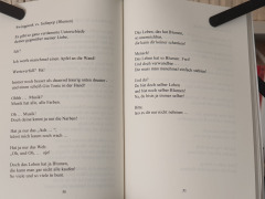 buch-rene-seim-gedichte-04