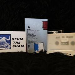 Sehm-The-Sham-Rest-in-Shame5