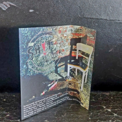 Shit Out Of Luck - Afraid Of Peace