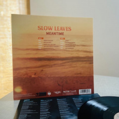 Slow Leaves - Meantime