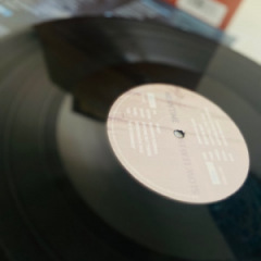 Slow Leaves - Meantime