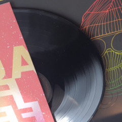LP-soko-linx-09
