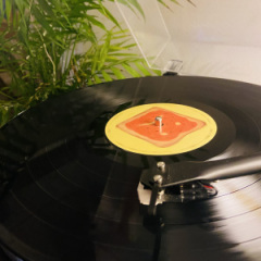 The Beths - Straight Line Was A  Lie