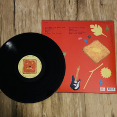 The Beths - Straight Line Was A  Lie