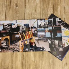 The Beths - Straight Line Was A  Lie