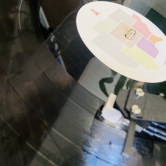 The Withe Album - Borders