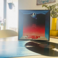 Twin Tooth - cusp