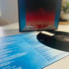 Twin Tooth - cusp