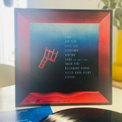 Twin Tooth - cusp