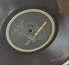 10inch-waran-zwang-005