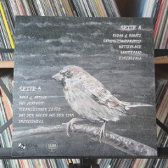 LP-zystem-02