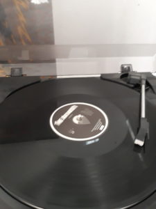 The Artakees - "Rush" Vinyl-LP 3