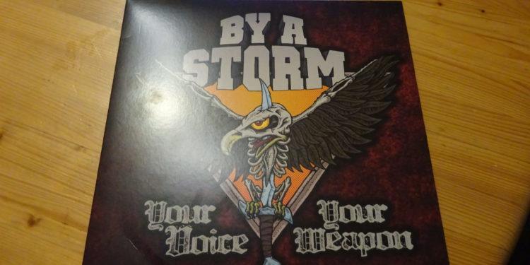 By a Storm - Your Voice Your Weapon 1 By a Storm – Your Voice Your Weapon