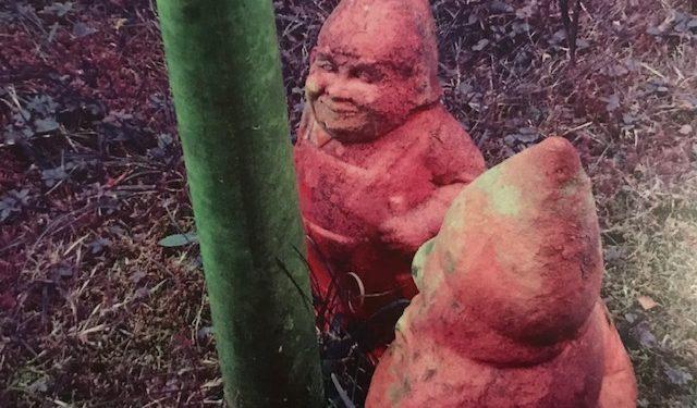 PLEIL - Liebe Grüße!/Jazz ist keine Option 1 PLEIL – Liebe Grüße!/Jazz ist keine Option