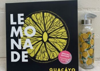 Guacáyo - Lemonade 1