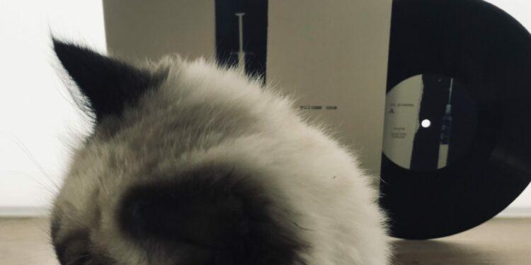 Taumel + Ensemble Adapter - In Pieces - Volume One 1 Taumel + Ensemble Adapter – In Pieces – Volume One