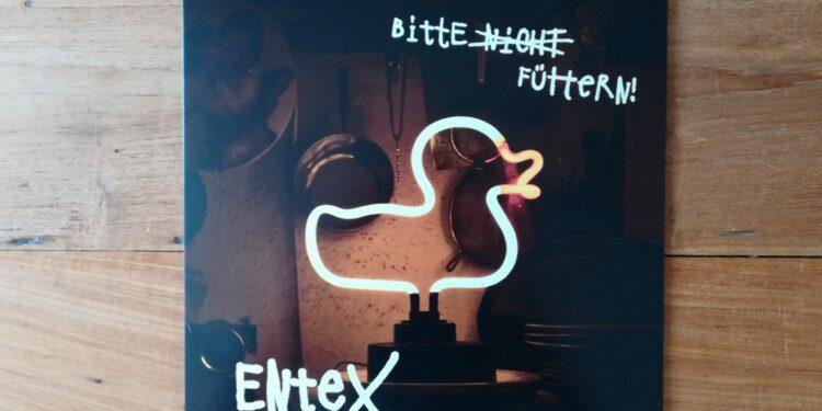 Ente X - Bitte füttern! 1 Ente X - Bitte füttern