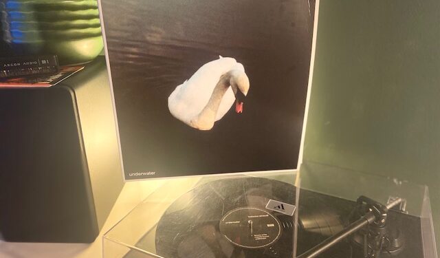 Ludovico Einaudi - Underwater