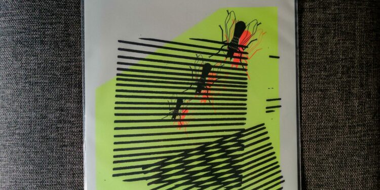 I Am The Fly – Pattern/Function