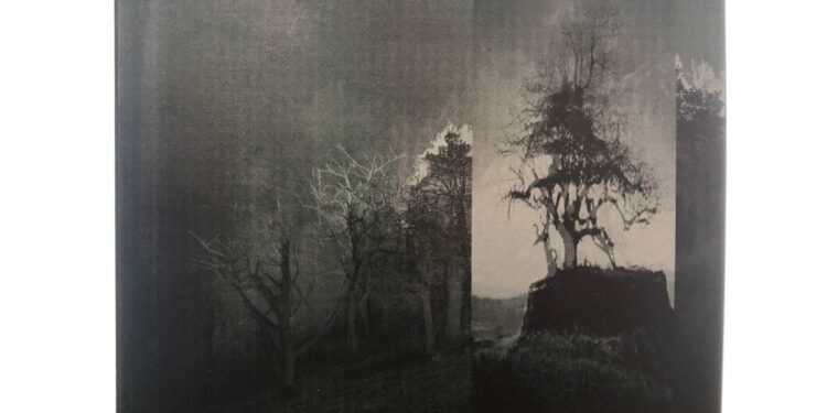 ECHO WEST - Reincarnation of Doubts 1 ECHO WEST -REINKARNATION OF DOUBTS