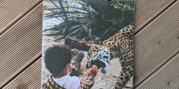 Unknown Mortal Orchestra - V 1 UMO - V