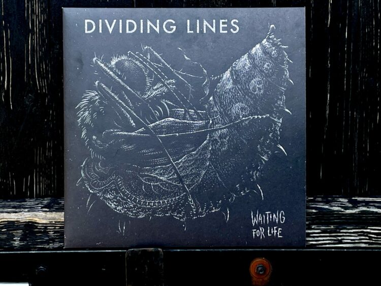 Dividing Lines - Waiting for Life 1