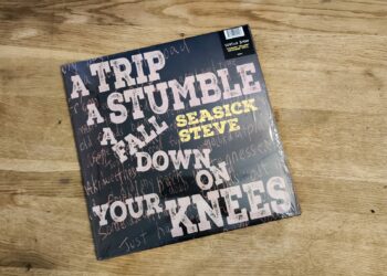 Seasick Steve - A Trip A Stumble A Fall Down On Your Knees 3