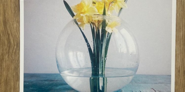 NEØV - Soft Atlas 1 NEØV - Soft Atlas