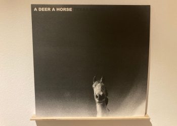 A Deer A Horse - Texas Math 2