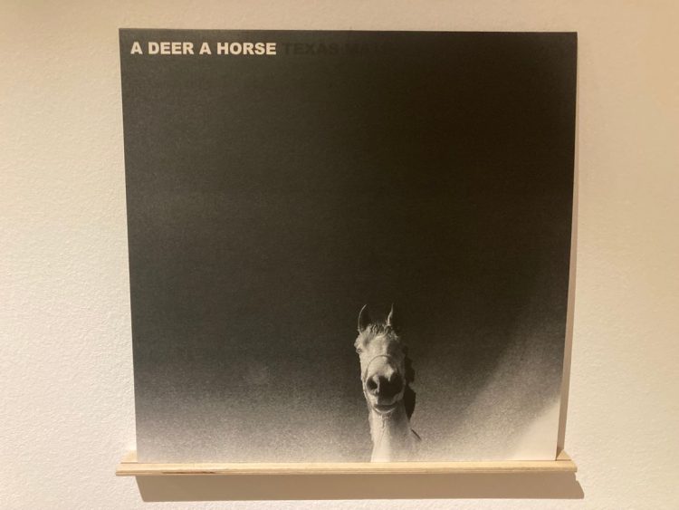 A Deer A Horse - Texas Math 1