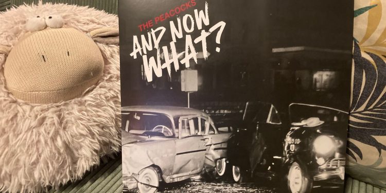 The Peacocks - And Now What? 1 The Peacocks – And Now What?