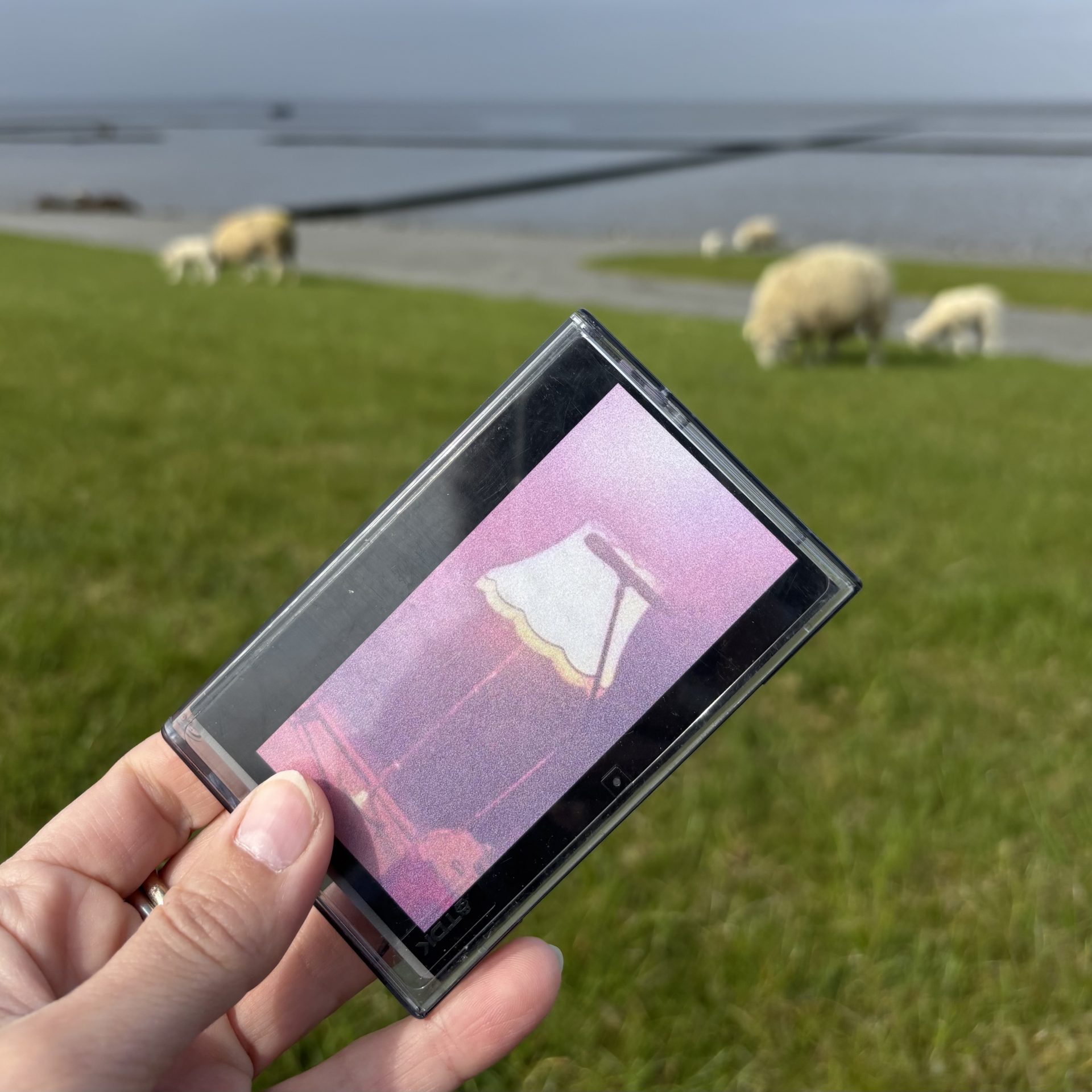 Provinzpostille #12 Frühjahr 2025 6 Das Tape der Provinzpostille #12 mit Lampenschirm vor rosa Hintergrund. Schafe grasen auf einer Wiese, während das Tape präsentiert wird.