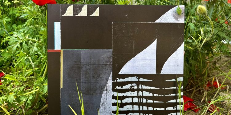 Das Bild zeigt ein LP-Album, welches ein abstraktes, schwarz-weiß Muster hat. Es ist das Bild eines Künstlers. Der Titel das Albums steht vorne nicht drauf, um das Bild nicht zu zerstören. Hinter der LP sind rote Mohnblumen und grüne Pflanzen zu sehen.