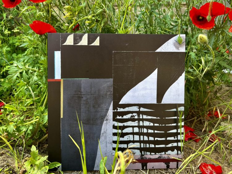 Das Bild zeigt ein LP-Album, welches ein abstraktes, schwarz-weiß Muster hat. Es ist das Bild eines Künstlers. Der Titel das Albums steht vorne nicht drauf, um das Bild nicht zu zerstören. Hinter der LP sind rote Mohnblumen und grüne Pflanzen zu sehen.