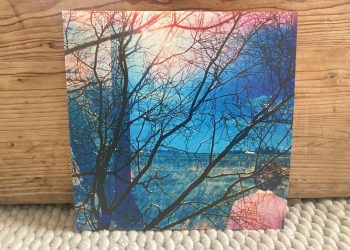 Idlewild - Idlewild 12