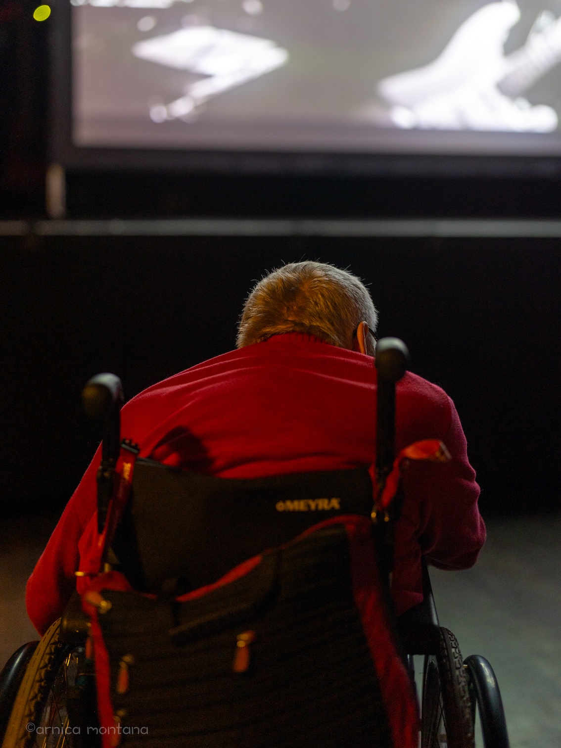 Eine Person mit einer roten Jacke ist von hinten vor der Leinwand zu sehen. Sie benutzt einen Rollstuhl. auf der Leinwand ist die band The Selecter zu sehen.