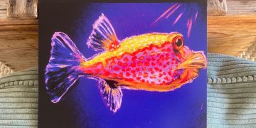 Liquid Orbit - More Spontaneous Floating Rock Creations 1