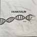Panikraum - Selbst 3 Panikraum - Selbst 2