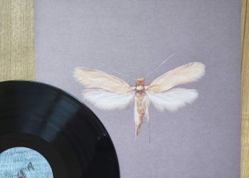 Dressed In Sound - Sharper Than A Needle 1