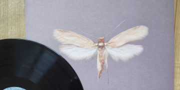 Dressed In Sound - Sharper Than A Needle 4