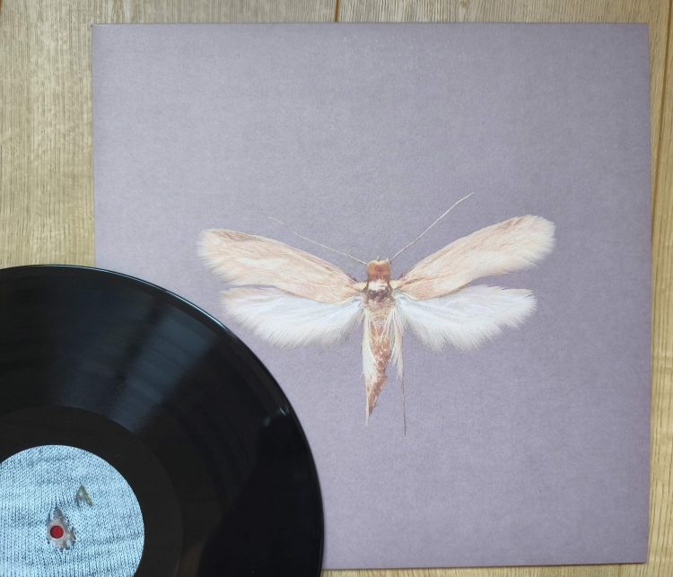 Dressed In Sound - Sharper Than A Needle 1 Dressed In Sound - Sharper Than A Needle 1