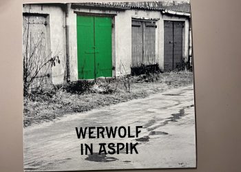 Werwolf in Aspik - Supermond über Bitterfeld