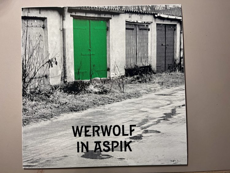 Werwolf in Aspik - Supermond über Bitterfeld