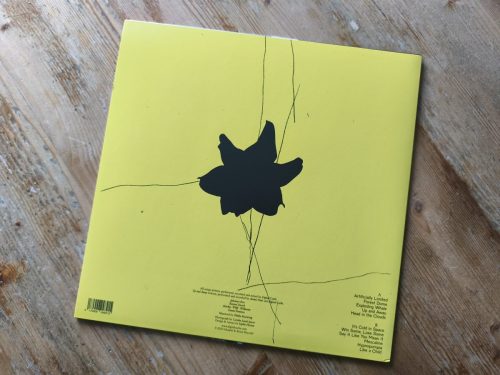 Digital Carbs - Oh Hedonism