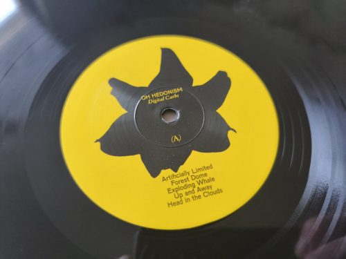 Digital Carbs - Oh Hedonism