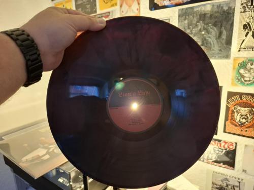 Lion's Law - Evermore