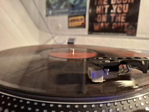 Lion's Law - Evermore